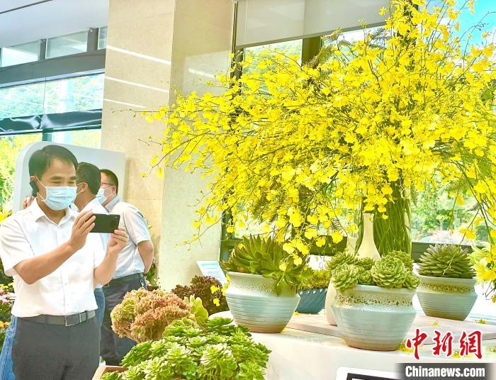 宁德市委市政府2022年第二季度工作检查，察看花卉展示区。　吕巧琴 摄