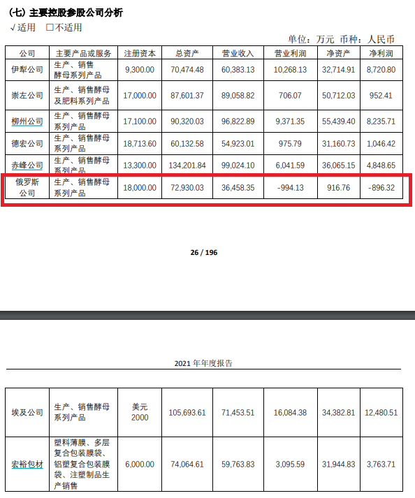 俄罗斯子公司经营亏损 2021年年报截图 