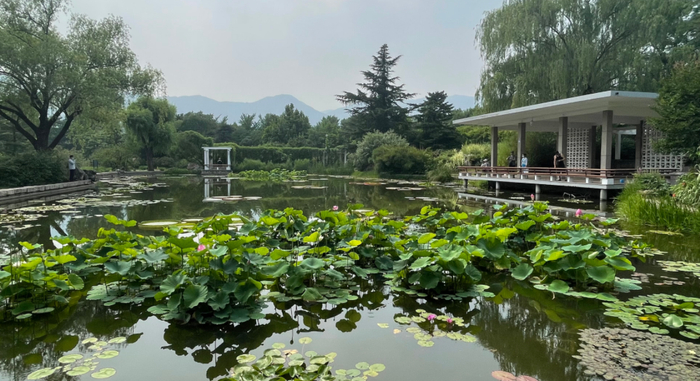 通讯员王楠供图