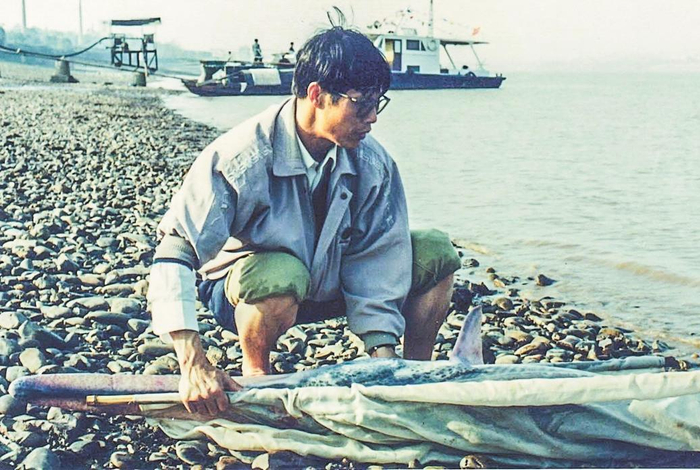 ▲1993年，危起伟在宜昌江段救助一尾白鲟。&nbsp; 受访者供图