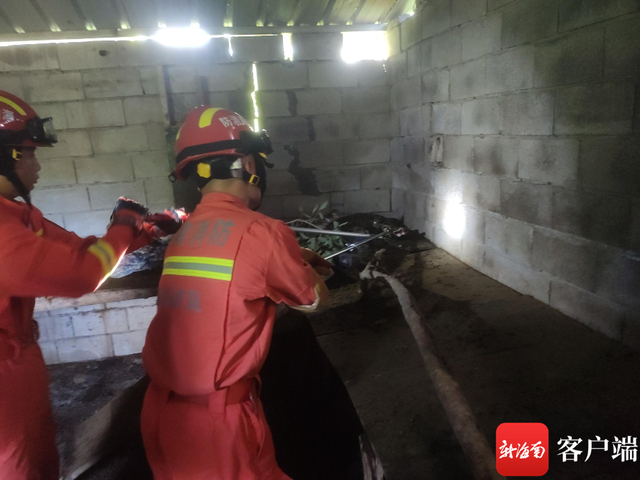 洋浦消防救援人员合力捕获蟒蛇（洋浦消防供图） 