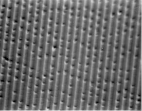 光盘和六角扳手（注意看影子和颜色排序）以及光盘的电子显微结构，图片来源：作者拍摄