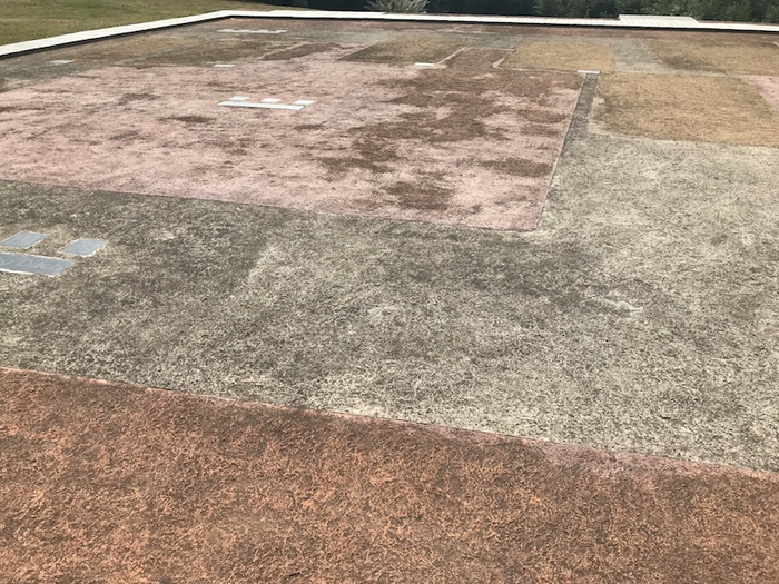 祭坛展示区上，以不同颜色的图区分坑的位置