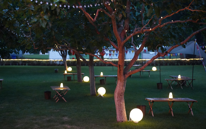 灯光点亮御林古桑园的古树。新京报记者 王巍 摄