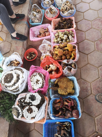 图片来源：作者提供