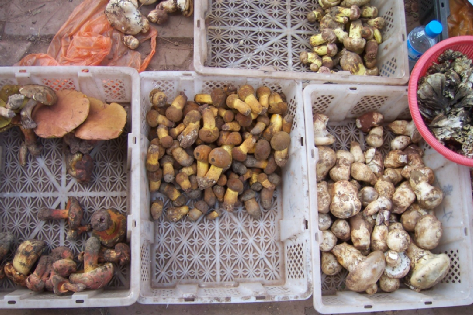 图片来源：作者提供