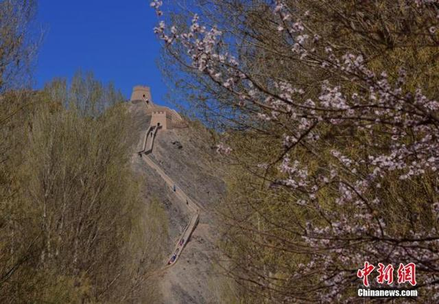 资料图：春色中的嘉峪关悬壁长城。师永红 摄 