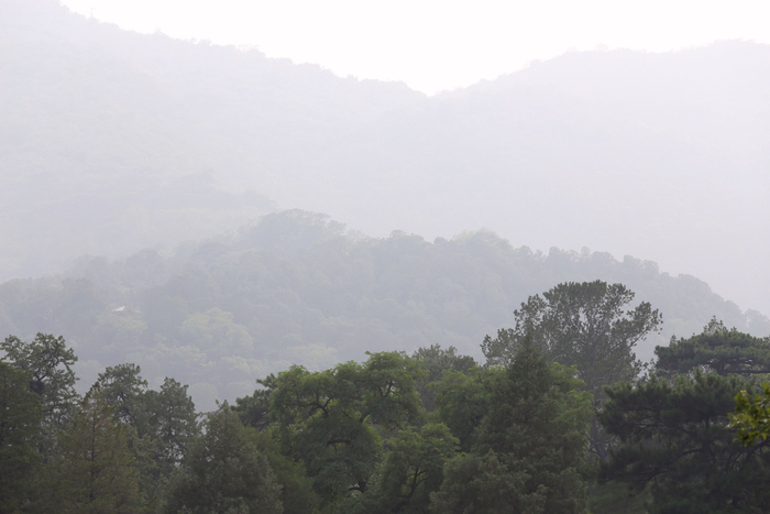 雨雾笼罩的山影