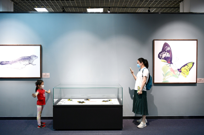 “科学与艺术——科学画与生物标本展”正在北京自然博物馆展出。 视觉中国供图