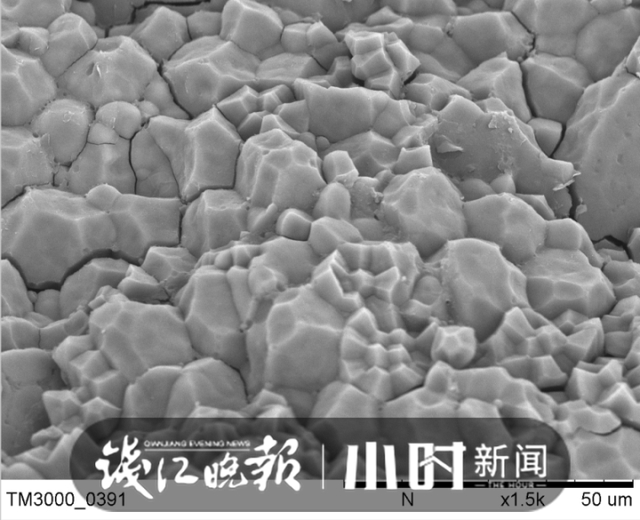 天然大米电镜图