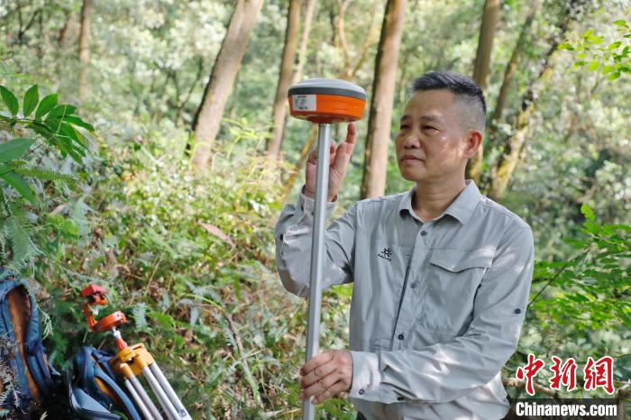 林勘技术人员使用专业设备开展样地监测调查 陈楚红 摄