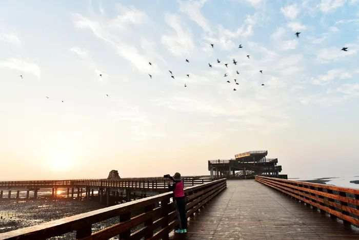 △ 兴城红海栈道&nbsp;图源：兴城政府官网