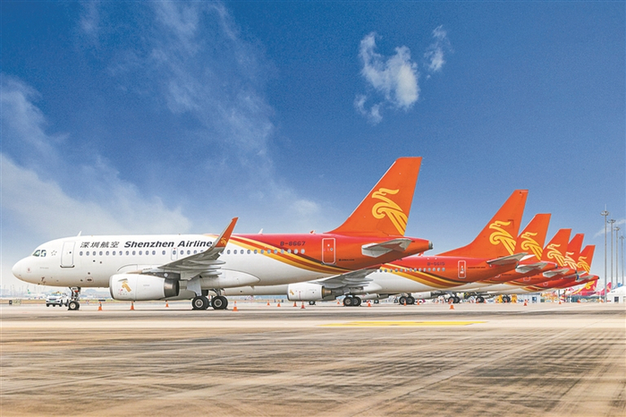     深航机队。谷强/图