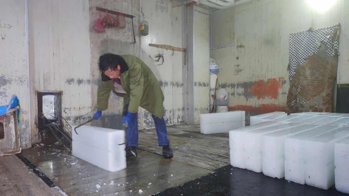 厂里的师傅要戴上手套，穿上军大衣，钻入储冰室内，整理冰块。黄天奇 图