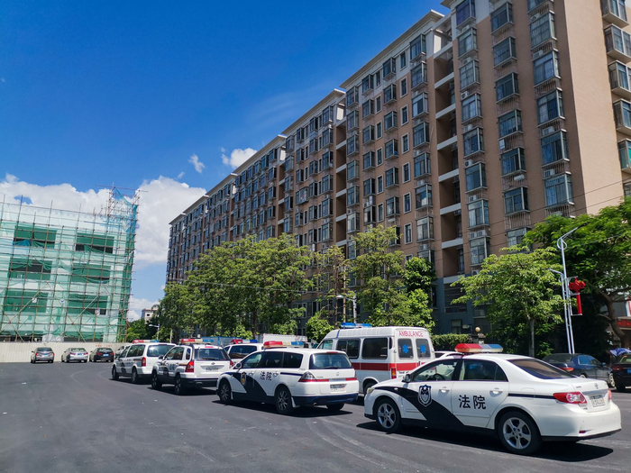 图片由龙岗法院提供