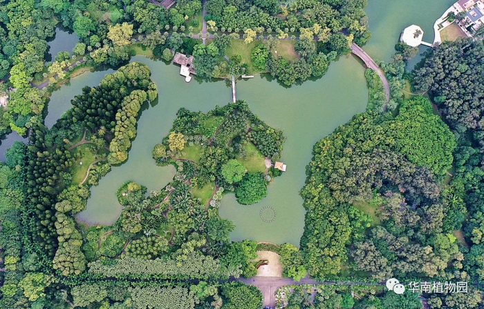 ▲资料图来源\华南植物园