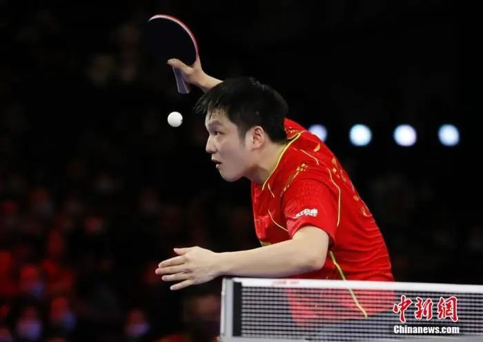 2021世界乒乓球锦标赛男子单打决赛，樊振东获得冠军。　 中新社记者 刘关关 摄