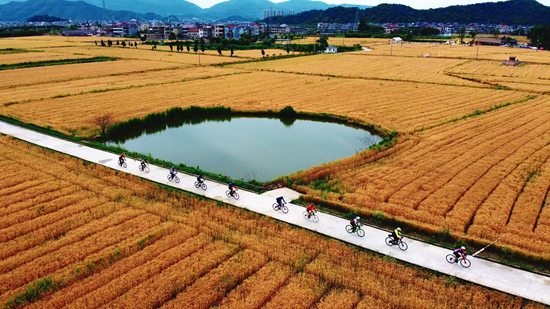 5月15日，浙江杭州萧山横一村绿道上的骑行者。 张勇供图