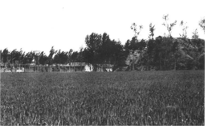 20世纪50年代的二里头村