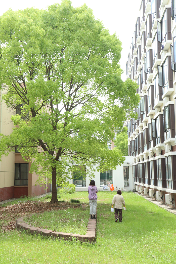 午后的宿舍楼前