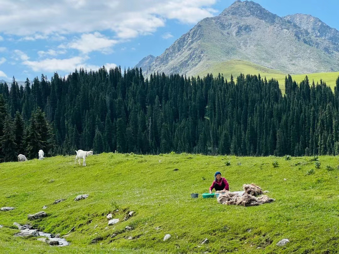 琼库什台后山上的景色（受访者供图）