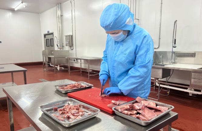 嘉兴市人民政府办公室关于印发嘉兴市创建国家食品安全示范城市工作方案的通知