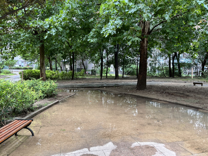 国美第一城2号院公共路面的积水情况