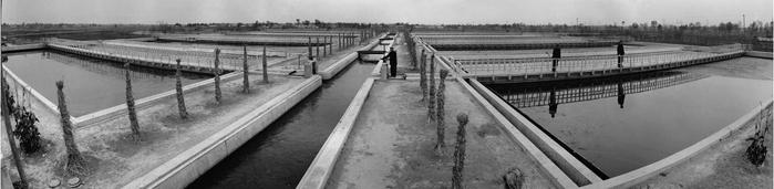 1962年汛期后，东郊一雨水处理池蓄水用于农田灌溉。刘瑞聪摄