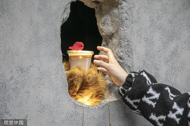 上海，网红咖啡店。视觉中国 资料图