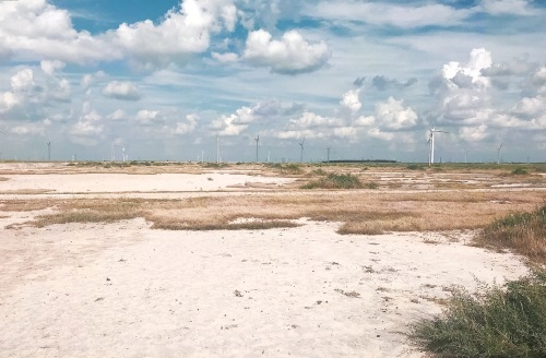 　　吉林省大安市境内松嫩平原苏打盐碱地自然景观。　王志春　摄