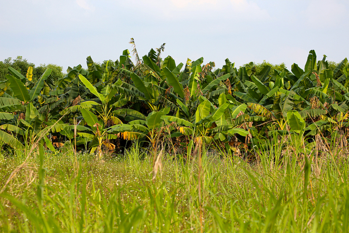 平沙岛     海洋  摄影