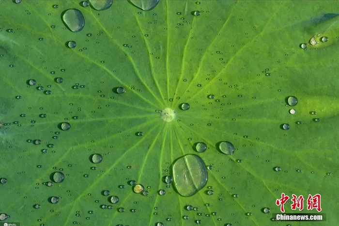 图片来源：ICphoto