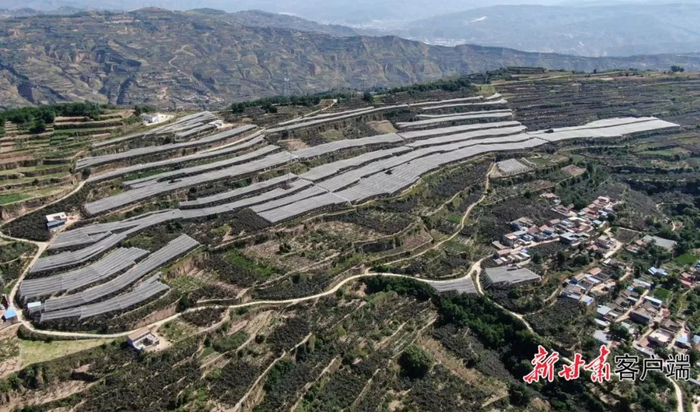 （图片均由秦安县融媒体中心董国庆\摄）