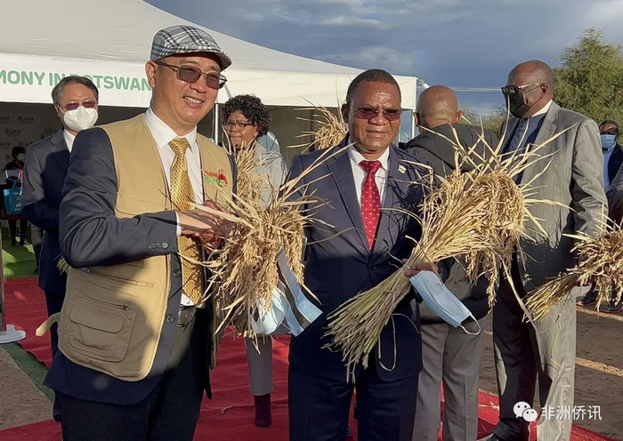收割仪式上，博茨瓦纳代总统措霍瓦内与非洲农业有限公司董事长南庚戌合影。图源：非洲侨讯