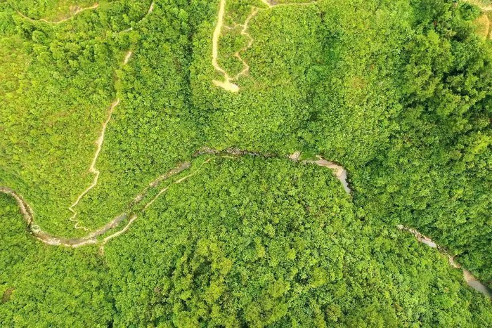 红军集体跳崖的困牛山虎井沟 李勇 摄
