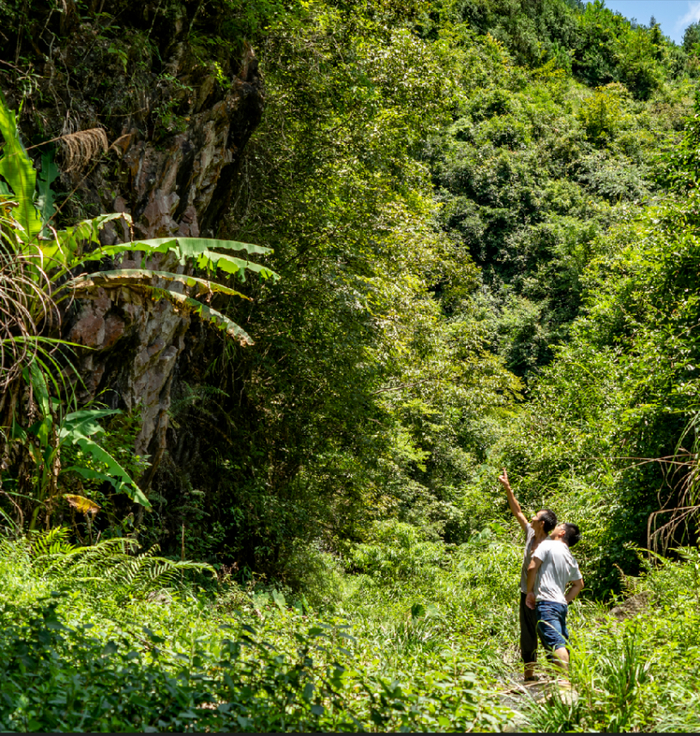 困牛山虎井沟红军跳崖处  吴剑 摄