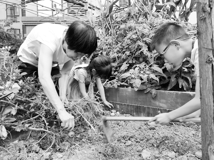 　　图为市民在自家阳台“小菜园”劳作。