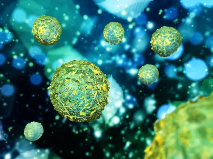 造血干细胞3D渲染图（图库版权图片，不授权转载）