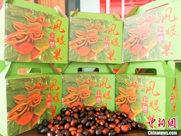 上巷村凉瓜专业合作社为当地的凤眼果特制了一批礼品盒，来提货的客人交口称赞 李晓春 摄