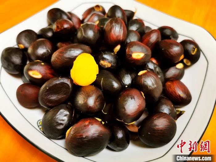 直接煲熟的凤眼果可当零嘴，果肉金黄、粉糯甘香 李晓春 摄