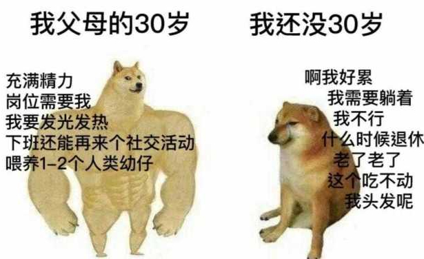 又怂又废,它是全世界最红的狗