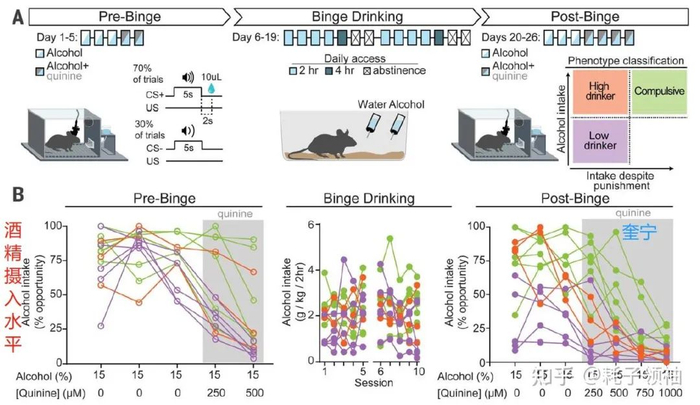 图片来源：文献