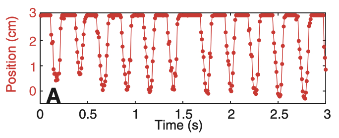 图片来源：参考文献【1】