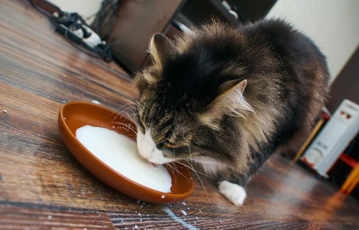 图库版权图片，不授权转载