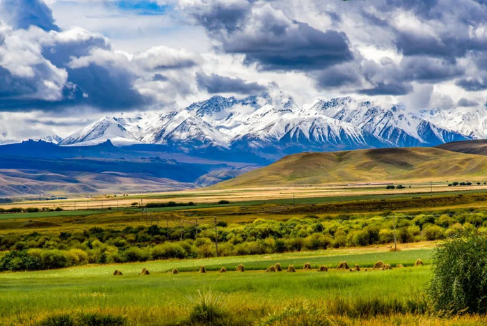△祁连雪山大草原。/图虫创意
