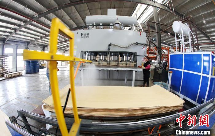 图为江苏慧典新材有限公司生产车间。　沭阳县委宣传部供图