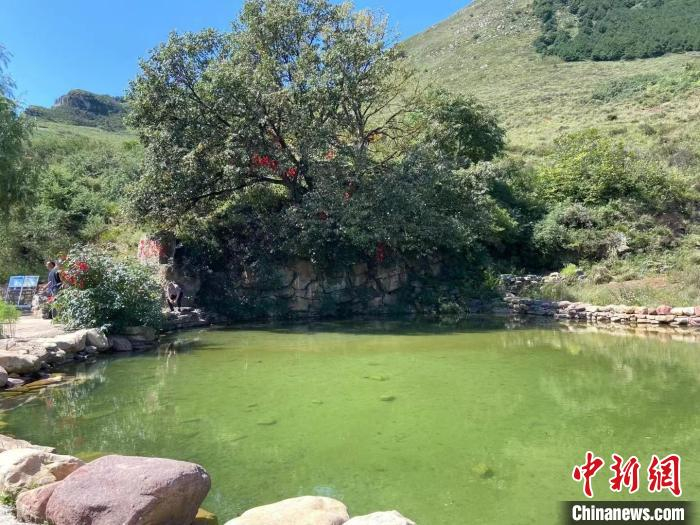 图为南天池村一景。　郑静 摄