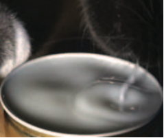 图片来源：参考文献【1】