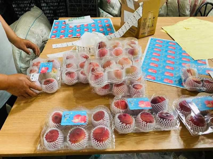 农户正在为大桃包装、贴标签。受访者供图