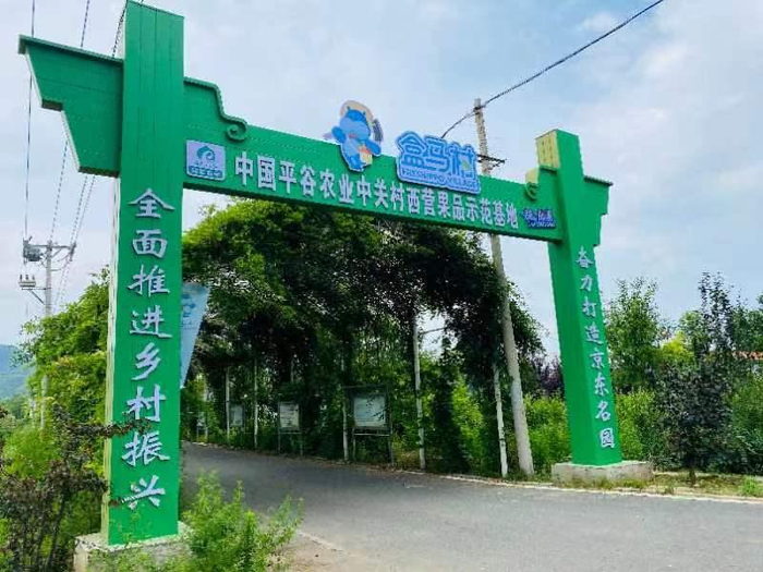 7月初，北京首家农副产品“盒马村”落地平谷区峪口镇西营村。受访者供图